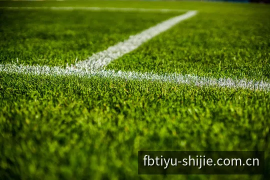FB体育国际版全球多语言访问中枢预览